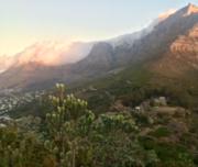 Table Mountain View 